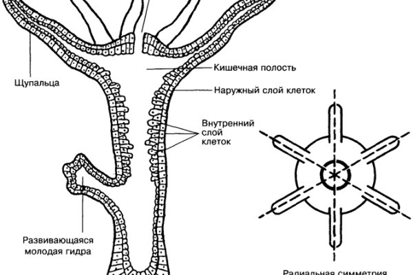 Как попасть на сайт кракен